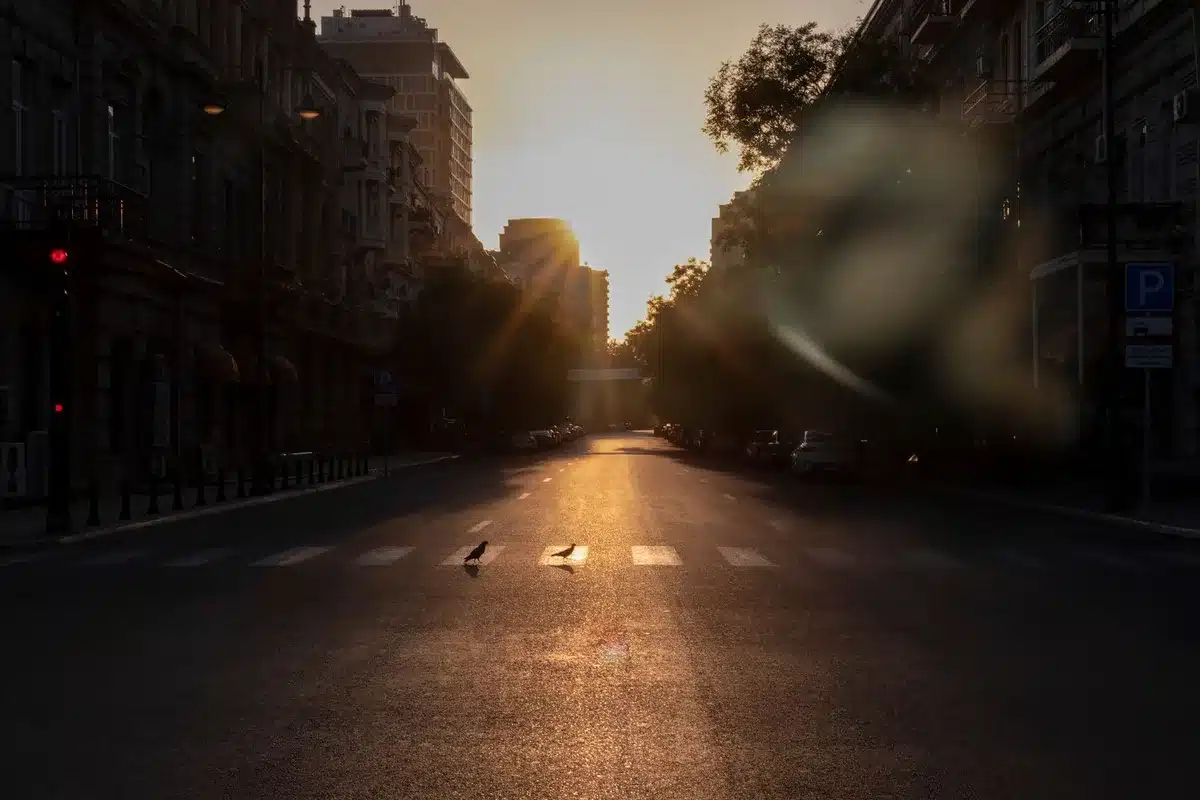 Heatwaves in cities with dense buildings and asphalt trapping heat, creating urgent public health challenges