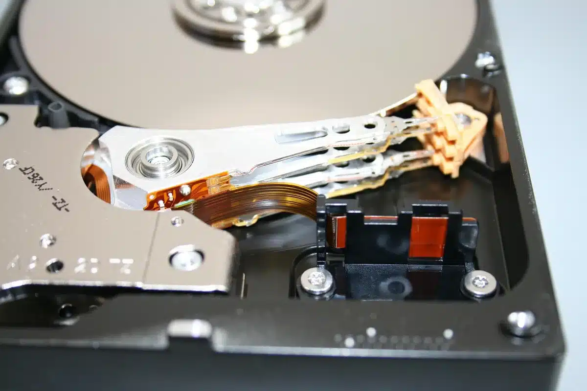 Engineer checking CMS backups on a laptop